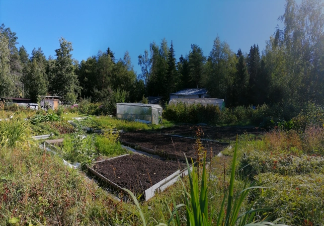 Купить земельный участок в Республике Коми. Вариант № 2839048, 5, площадь -  квм, цена 650000 рублей