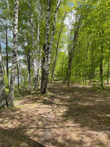 Купить земельный участок в Покрове. Вариант № 28968, 3, площадь -  квм, цена 21500000 рублей