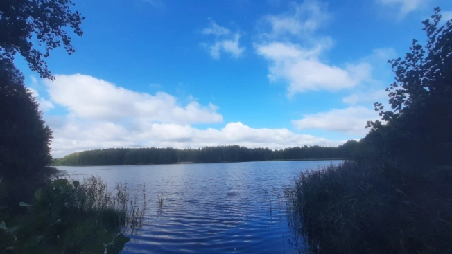 Купить земельный участок в Владимире. Вариант № 3155308, 20, площадь -  квм, цена 680000 рублей