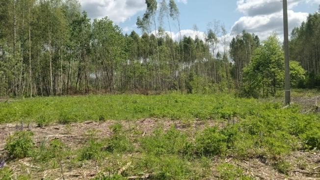 Купить земельный участок на улице 3-я Сорокинская в Владимире. Вариант № 48194, 5, площадь -  квм, цена 1100000 рублей