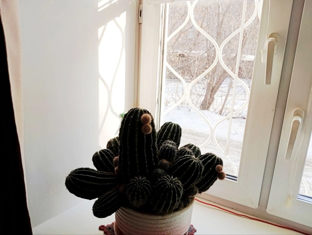 Купить квартиру на вторичке в Иркутске. Вариант № 8903539, 13, площадь -  квм, цена 3450000 рублей