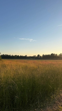 Купить земельный участок в Вологодской области. Вариант № 14413, 1, площадь -  квм, цена 1000000 рублей