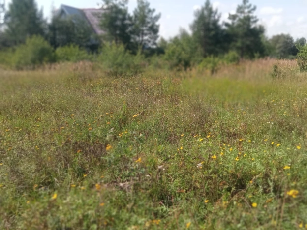 Купить земельный участок на улице 1-й Авиационный проезд в Рязани. Вариант № 2059067, 9, площадь -  квм, цена 500000 рублей