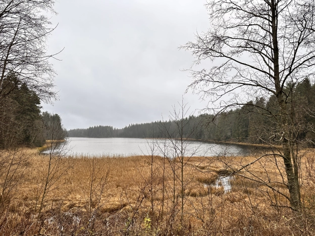 Купить земельный участок в Тверской области. Вариант № 8599623, 12, площадь -  квм, цена 5700000 рублей