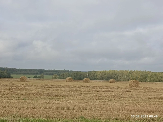 Купить земельный участок в Тульской области. Вариант № 3010, 5, площадь -  квм, цена 190000 рублей