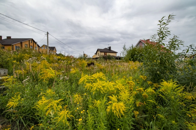 Купить земельный участок у метро Московская в Нижнем Новгороде. Вариант № 15841, 4, площадь -  квм, цена 10300000 рублей