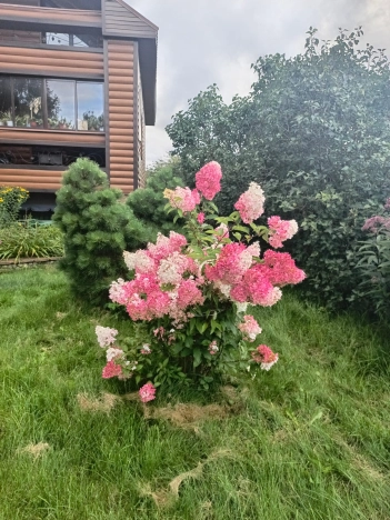 Купить дом в Тульской области. Вариант № 10134780, 38, площадь -  квм, цена 17000000 рублей