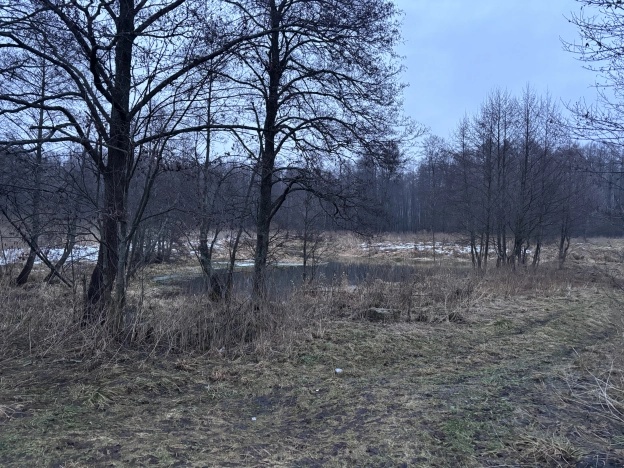 Купить земельный участок в Коврове. Вариант № 24078, 3, площадь -  квм, цена 8000000 рублей