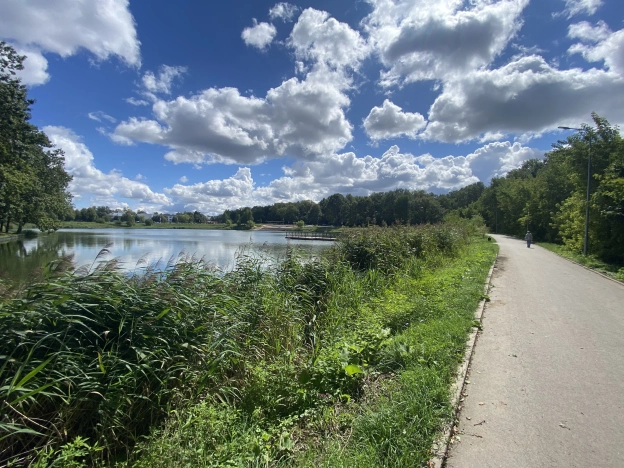 Купить дом в Туле. Вариант № 11735, 35, площадь -  квм, цена 11700000 рублей