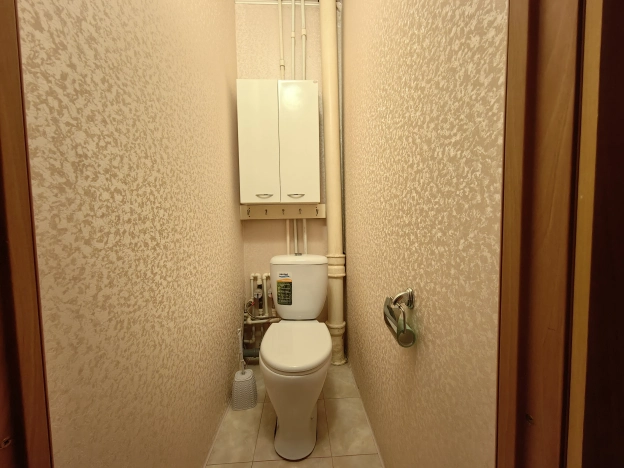 Купить трехкомнатную квартиру на улице Центральная в Рязанской области. Вариант № 9071529, 10, площадь -  квм, цена 4490000 рублей