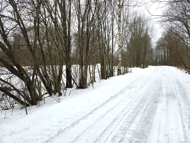 Купить земельный участок в Республике Карелия. Вариант № 21705, 10, площадь -  квм, цена 2000000 рублей