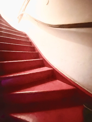 Купить четырехкомнатную квартиру в Калининграде. Вариант № 51662, 20, площадь -  квм, цена 10000000 рублей