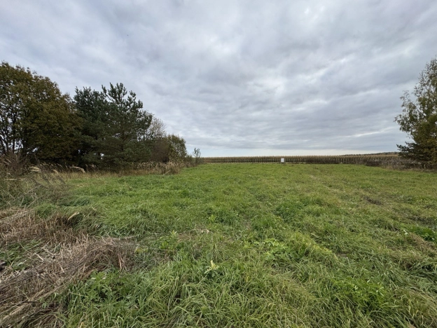 Купить земельный участок в Коврове. Вариант № 6827421, 4, площадь -  квм, цена 450000 рублей