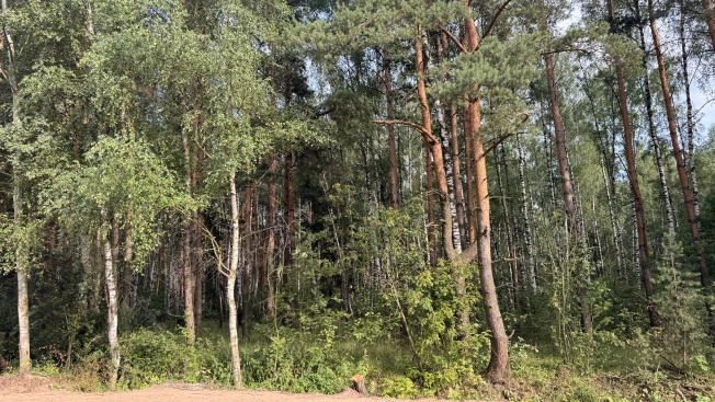 Купить дом в Москве. Вариант № 285247, 21, площадь - квм, цена 8250000.0000 рублей
