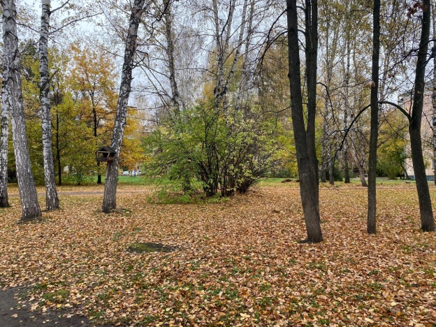 Купить двухкомнатную квартиру в районе Советский в Новосибирске. Вариант № 2981094, 13, площадь -  квм, цена 7149000 рублей