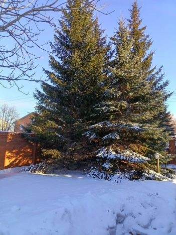 Купить дом на улице Луговская в Бердске. Вариант № 2150000, 4, площадь -  квм, цена 20000000 рублей