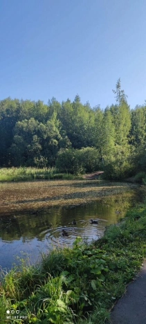 Купить квартиру в Москве. Вариант № 9152942, 13, площадь - квм, цена 31500000 рублей