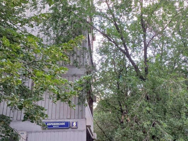Купить квартиру в Москве. Вариант № 3020191, 21, площадь -  квм, цена 15600000.0000 рублей