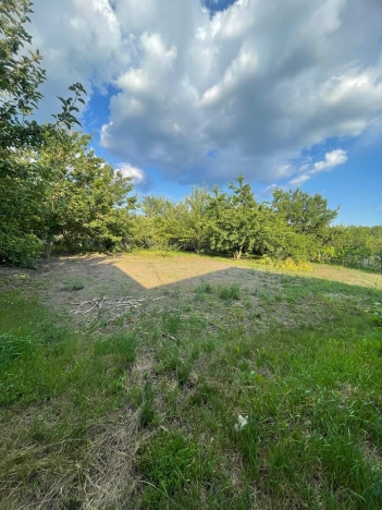 . Вариант № 22123, 12, площадь - 156 квм, цена 8800000 рублей