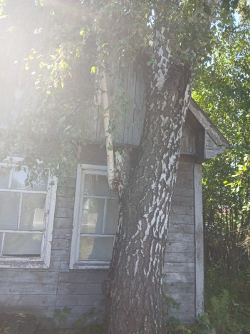 Купить дачу в районе Калининский в Новосибирске. Вариант № 3192853, 18, площадь -  квм, цена 800000 рублей