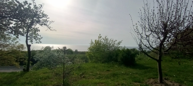 Купить двухкомнатную квартиру на улице Советская в Калининградской области. Вариант № 14118, 6, площадь -  квм, цена 6900000 рублей