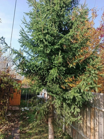 Купить дачу в Воскресенске. Вариант № 7713852, 2, площадь -  квм, цена 2050000 рублей