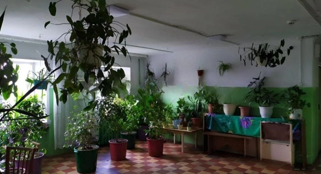 Купить комнату в Новосибирской области. Вариант № 9866832, 3, площадь - квм, цена 1500000 рублей