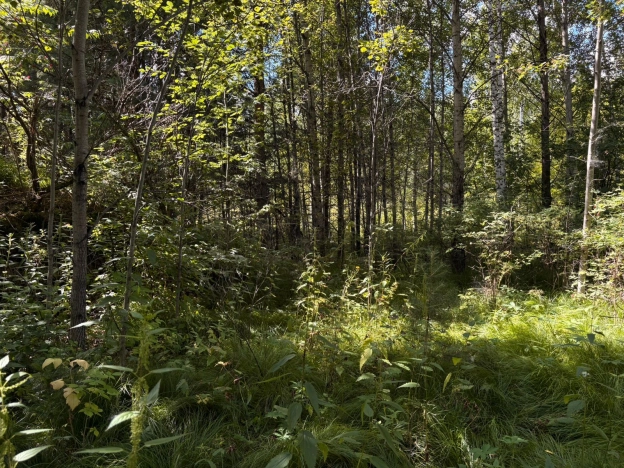Купить земельный участок в Тобольске. Вариант № 1750903, 9, площадь -  квм, цена 2000000 рублей