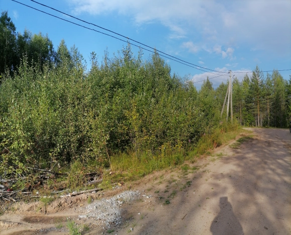 Купить земельный участок в Республике Коми. Вариант № 2015344, 6, площадь -  квм, цена 560000 рублей