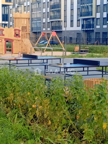 Купить Студию у метро Московская в Санкт-Петербурге. Вариант № 18080, 11, площадь -  квм, цена 5350000 рублей