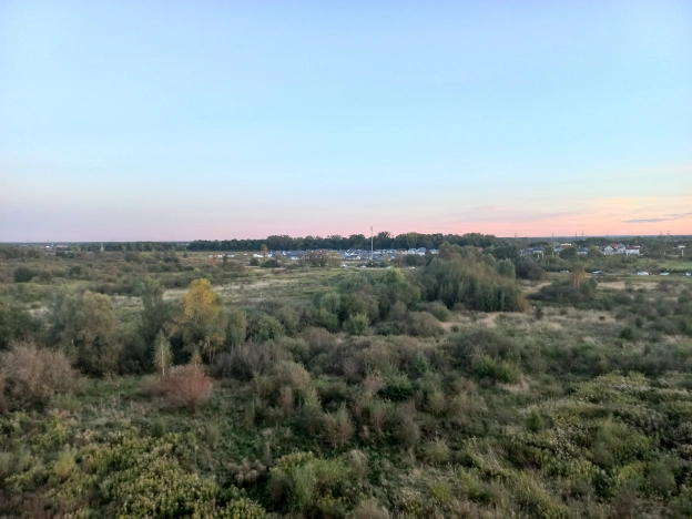 Купить однокомнатную квартиру в районе Московский в Калининграде. Вариант № 14449, 10, площадь -  квм, цена 5950000 рублей