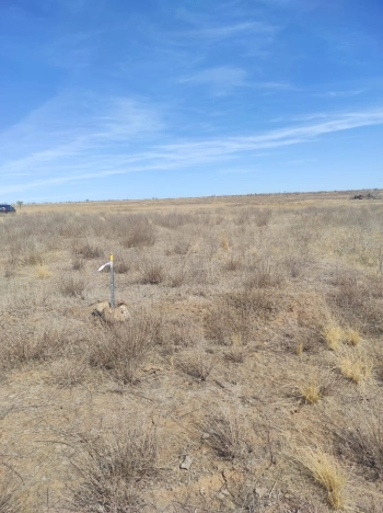 Купить земельный участок на улице Заречная в Республике Калмыкия. Вариант № 14381, 0, площадь -  квм, цена 450000 рублей