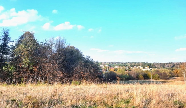 Купить земельный участок в Москве. Вариант № 3710, 2, площадь -  квм, цена 700000 рублей