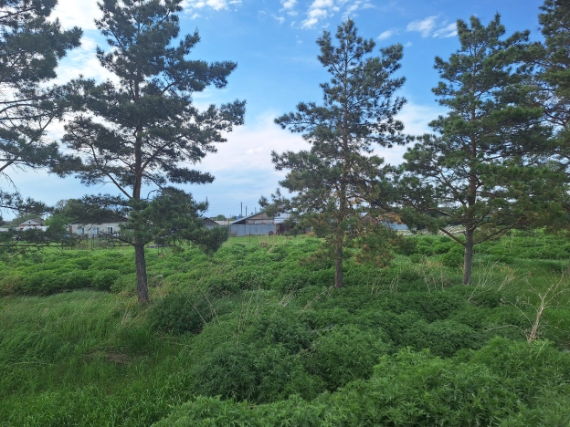 Купить земельный участок в Искитиме. Вариант № 8094, 23, площадь -  квм, цена 450000 рублей