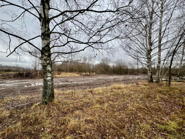 Купить земельный участок в Рязани. Вариант № 9868903, 1, площадь -  квм, цена 1180000 рублей