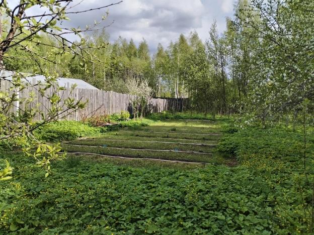 Купить дом в Гороховеце. Вариант № 41124, 35, площадь -  квм, цена 1000000 рублей