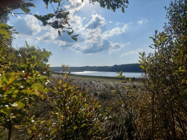 Купить земельный участок в Республике Карелия. Вариант № 2178059, 0, площадь -  квм, цена 2000000 рублей