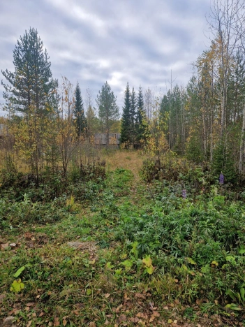 Купить земельный участок в Республике Коми. Вариант № 9637980, 3, площадь -  квм, цена 270000 рублей