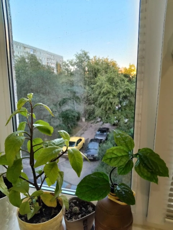 . Вариант № 1074612, 8, площадь - 41.2 квм, цена 3400000 рублей