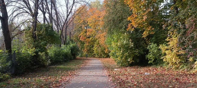 Купить квартиру на улице Растопчина в Владимире. Вариант № 6734932, 35, площадь -  квм, цена 7550000 рублей