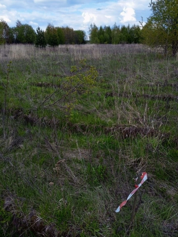 Купить земельный участок в Владимире. Вариант № 5792094, 3, площадь -  квм, цена 1375000 рублей