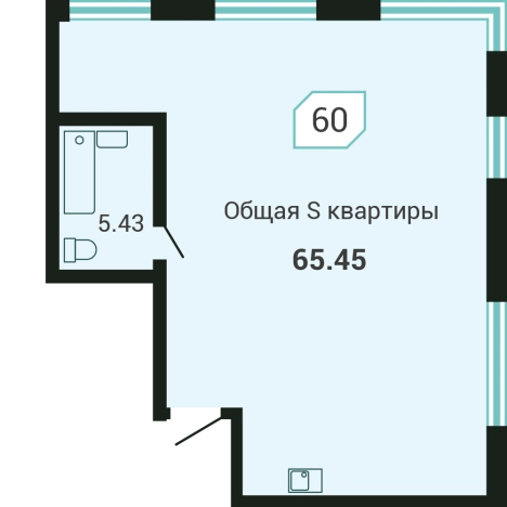 Купить двухкомнатную квартиру в Приморском крае. Вариант № 72223, 0, площадь -  квм, цена 13080000 рублей
