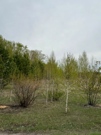 Купить земельный участок на улице Яминская в Алтайском крае. Вариант № 19938, 1, площадь -  квм, цена 600000 рублей