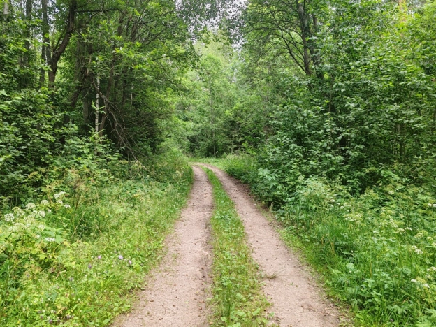 Купить земельный участок на улице Южный склон в Ленинградской области. Вариант № 6255740, 9, площадь -  квм, цена 2750000 рублей