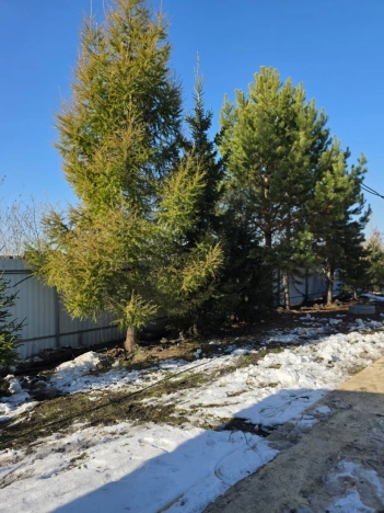 Купить дом на улице Тургенева в Новосибирске. Вариант № 8110758, 41, площадь -  квм, цена 20000000 рублей