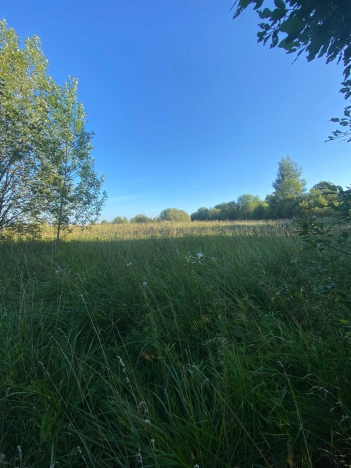 Купить земельный участок в Вологодской области. Вариант № 13609, 0, площадь -  квм, цена 220000 рублей