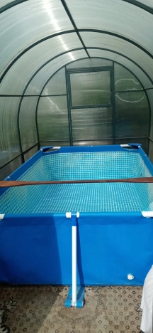 Купить земельный участок в Новосибирске. Вариант № 12168, 24, площадь -  квм, цена 1850000 рублей