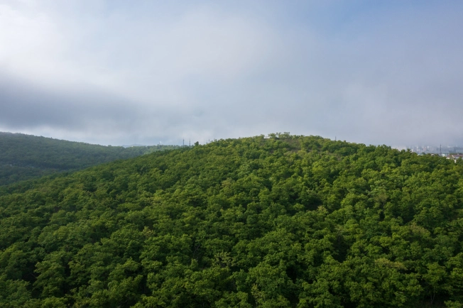 Купить двухкомнатную квартиру в новостройках на улице Весенняя в Приморском крае. Вариант № 4137113, 3, площадь - квм, цена 10592700 рублей