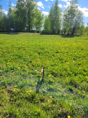 Купить земельный участок на улице 4-й Дорожный переулок в Вологодской области. Вариант № 4496, 3, площадь -  квм, цена 210000 рублей