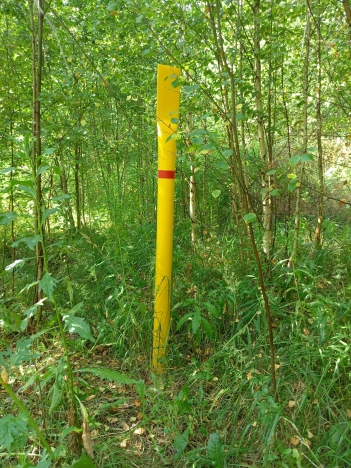 Купить земельный участок в Ярославской области. Вариант № 1309794, 4, площадь -  квм, цена 570000 рублей